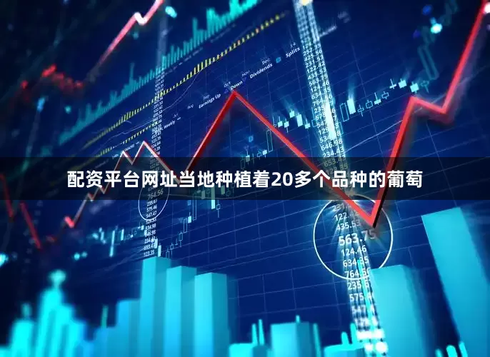 配资平台网址当地种植着20多个品种的葡萄
