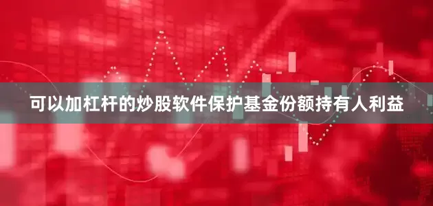 可以加杠杆的炒股软件保护基金份额持有人利益